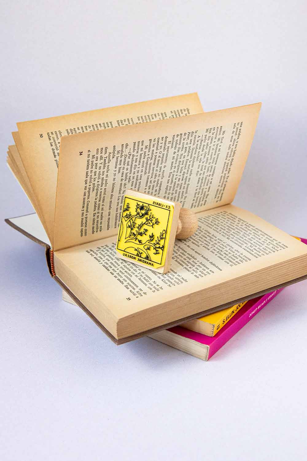 Sello ex-libris de un fragmento de las ramas de un árbol