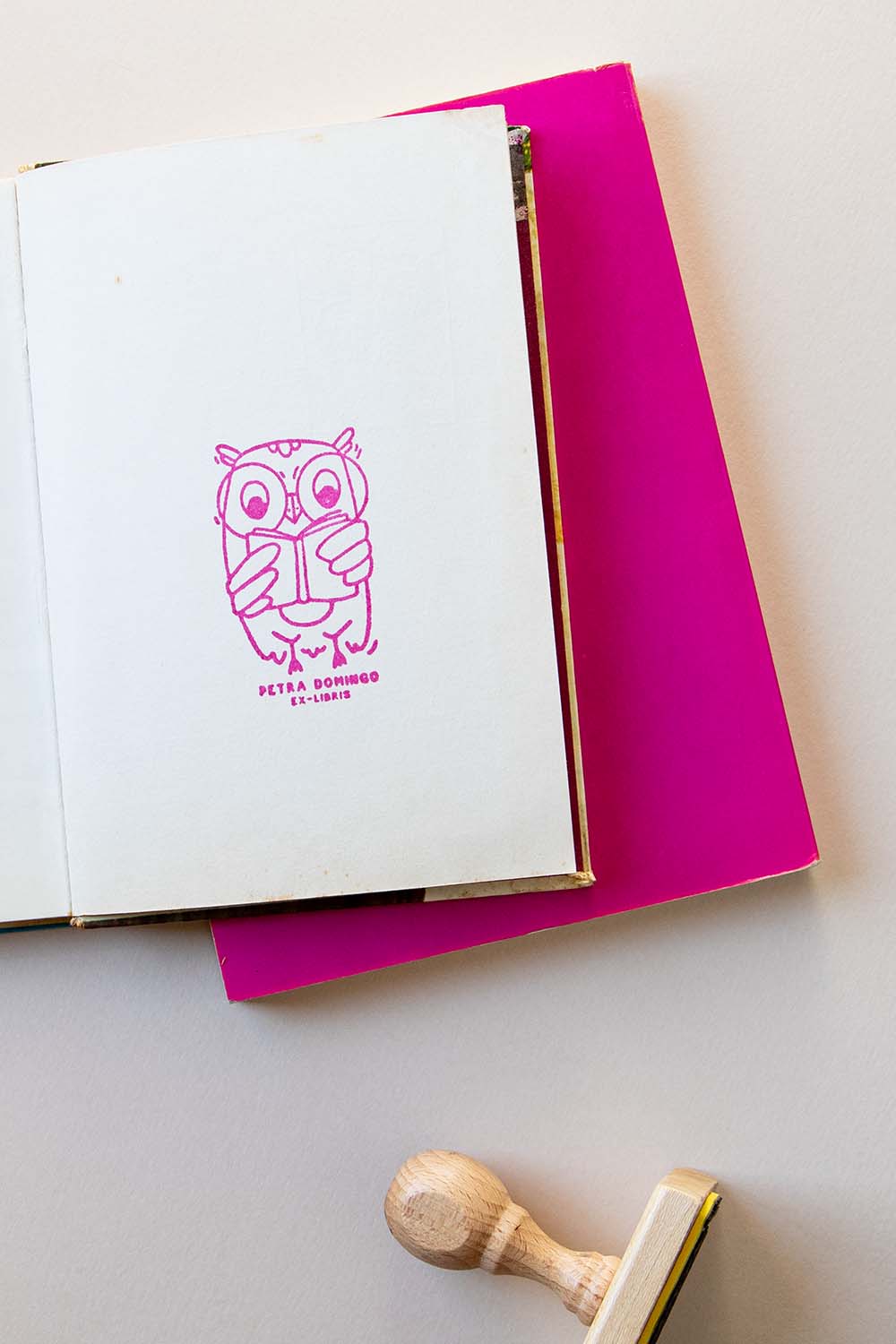 Portadilla de libro un búho leyendo un libro y sello