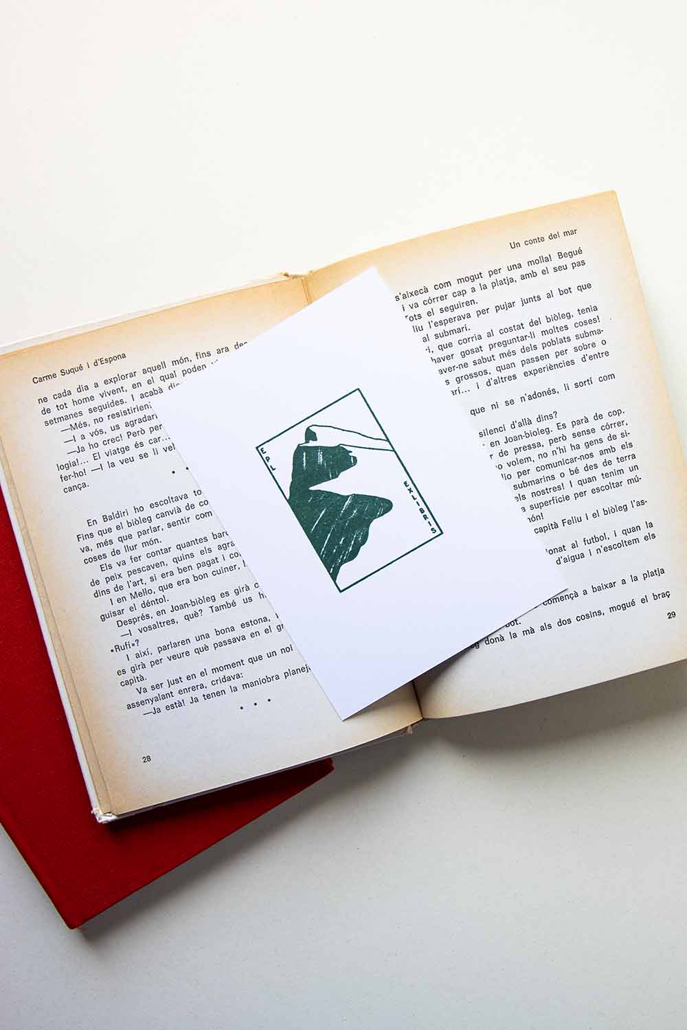 Portadilla de libro estampada con una montaña